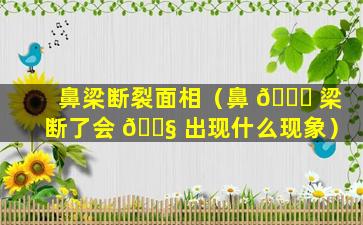 鼻梁断裂面相（鼻 🍁 梁断了会 🐧 出现什么现象）